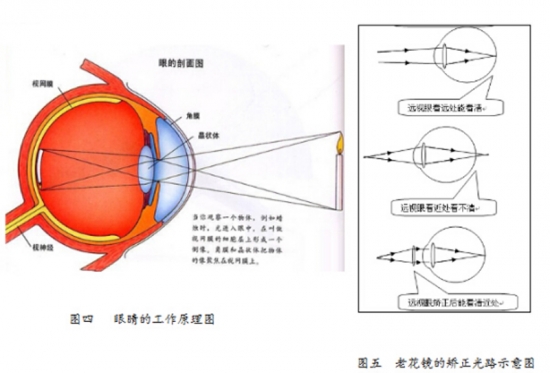 美麗島眼鏡：老花鏡不可隨意亂帶，需要在專(zhuān)業(yè)驗(yàn)光后科學(xué)配制