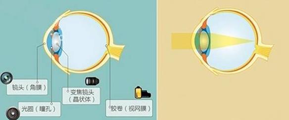 怎么佩戴老花鏡？驗(yàn)光 品牌 質(zhì)量 保養(yǎng)一個(gè)都不能少