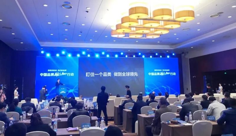 定了！美麗島進了國家隊，新華社專訪